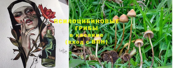 a pvp Нефтекумск