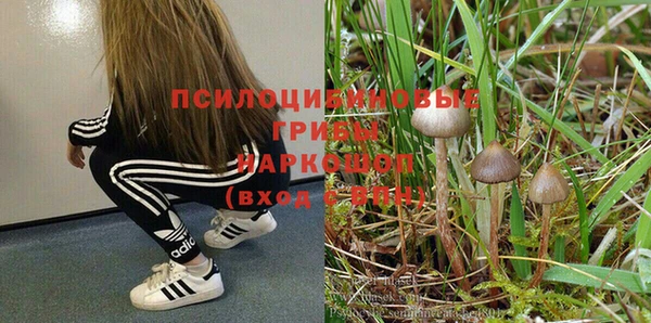 мескалин Надым