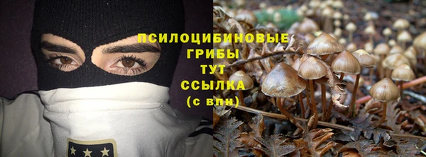 мескалин Надым
