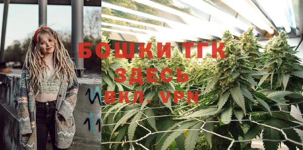 дурь Нея